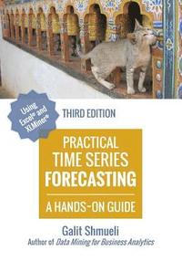 bokomslag Practical Time Series Forecasting