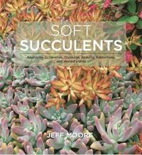 bokomslag Soft Succulents: Aeoniums, Echeverias, Crassulas, Sedums, Kalanchoes, and Related Plants
