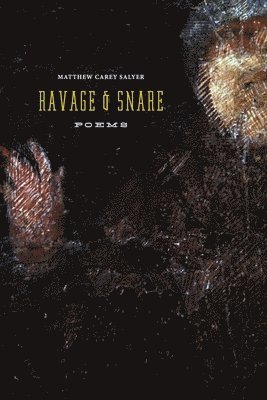 bokomslag Ravage and Snare