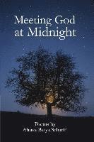 Meeting God at Midnight 1