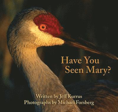 Have You Seen Mary? 1