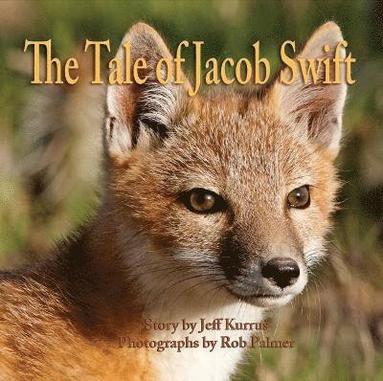 bokomslag The Tale of Jacob Swift