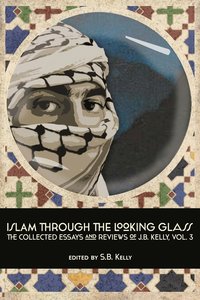 bokomslag Islam Through the Looking Glass