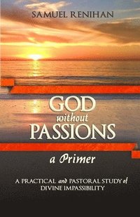 bokomslag God without Passions