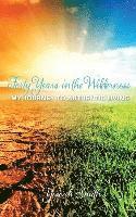 bokomslag Forty Years in the Wilderness: My Journey to Authentic Living