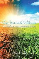 bokomslag Forty Years in the Wilderness: My Journey to Authentic Living