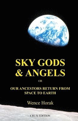 bokomslag Sky God & Angels: Our Ancestors Return From Space To Earth