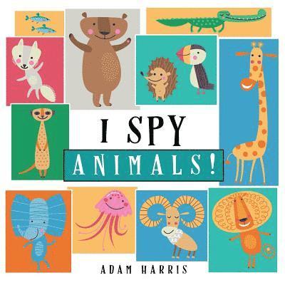 I Spy Animals! 1