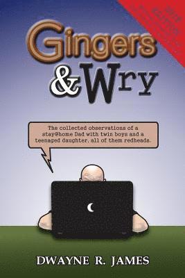 bokomslag Gingers & Wry: The collected observations of a stay@home Dad with twin boys and a teen-aged daughter, all of them redheads.