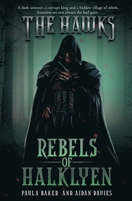 Paula Baker, Aidan Davies - Rebels of Halklyen, Häftad