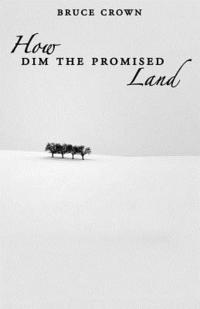 How Dim the Promised Land 1