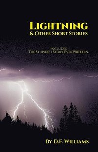 bokomslag Lightning & Other Short Stories