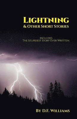 bokomslag Lightning & Other Short Stories