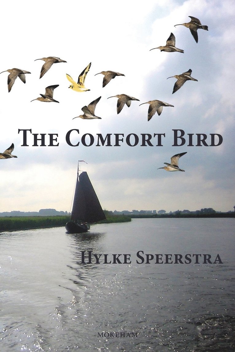 The Comfort Bird 1