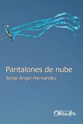 bokomslag Pantalones de nube