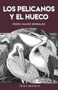 bokomslag Los Pelicanos Y El Hueco: Violaciones de Los Derechos Humanos Durante La Guerra Interna En El Perú