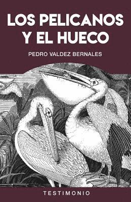 Los Pelicanos Y El Hueco: Violaciones de Los Derechos Humanos Durante La Guerra Interna En El Perú 1