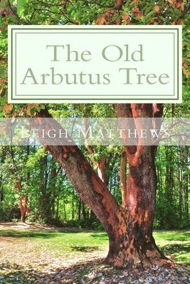 Old Arbutus Tree