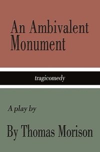 bokomslag Ambivalent Monument