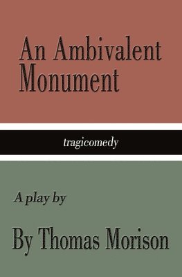 bokomslag Ambivalent Monument