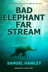 bokomslag Bad Elephant Far Stream