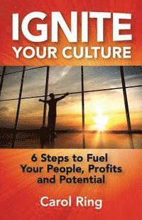 bokomslag Ignite Your Culture: 6 Steps to Fuel Your People, Profits and Potential