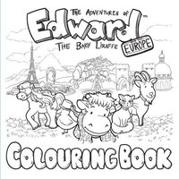 bokomslag The Adventures of Edward the Baby Liraffe