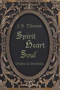 bokomslag Spirit Heart Soul - Origins & Destinies
