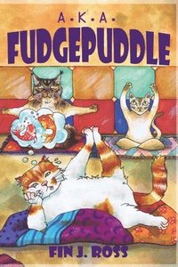 bokomslag A.K.A. Fudgepuddle