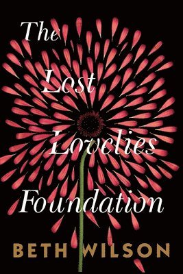 bokomslag The Lost Lovelies Foundation
