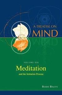 bokomslag Meditation and the Initiation Process (Vol.6 of a Treatise on Mind)