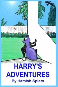 bokomslag Harry's Adventures