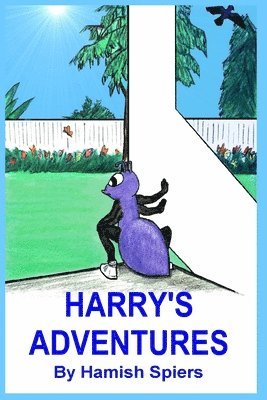 bokomslag Harry's Adventures