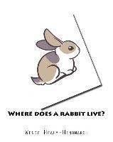 bokomslag Where does a rabbit live?