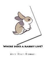 Where does a rabbit live? 1