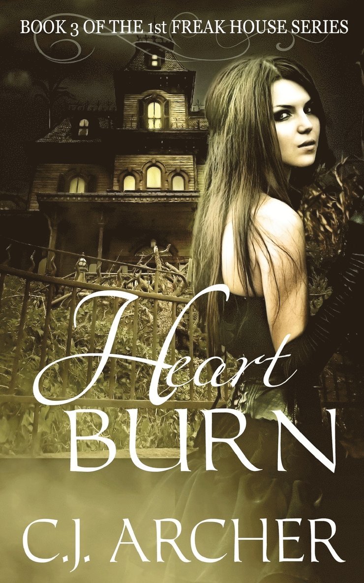 C J Archer - Heart Burn, Häftad