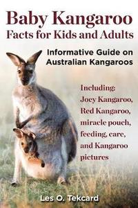 bokomslag Baby Kangaroo Facts for Kids and Adults