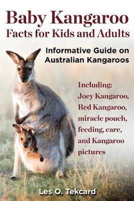 bokomslag Baby Kangaroo Facts for Kids and Adults