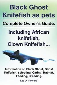 bokomslag Black Ghost Knifefish as Pets, Incuding African Knifefish, Clown Knifefish... Complete Owner's Guide. Black Ghost, Ghost Knifefish, Selecting, Caring,