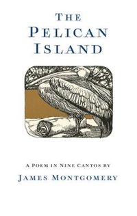 bokomslag The Pelican Island (Illustrated Edition)