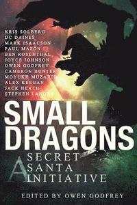 bokomslag Small Dragons