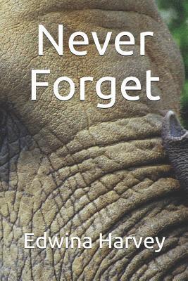 bokomslag Never Forget: a novelette