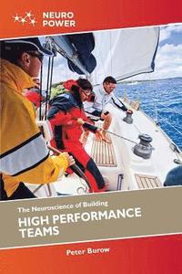 bokomslag Neuroscience of Building High Performance Teams