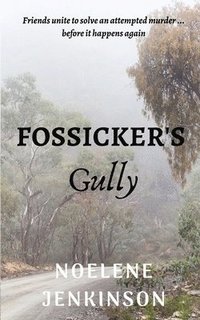 bokomslag Fossicker's Gully