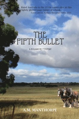 bokomslag Fifth Bullet