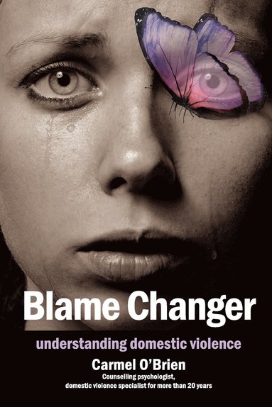 bokomslag Blame Changer: understanding domestic violence