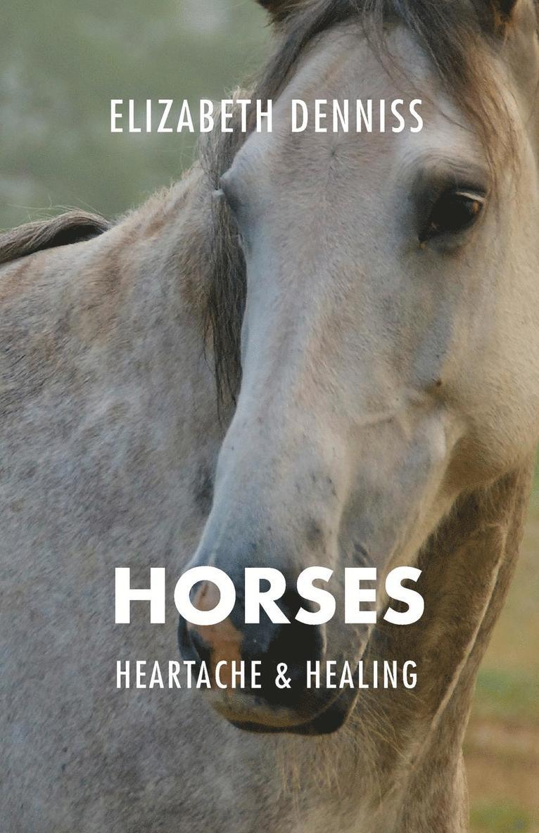 Elizabeth Denniss - Horses, Heartache & Healing, Häftad. Tillgänglighet: Lägg i varukorg