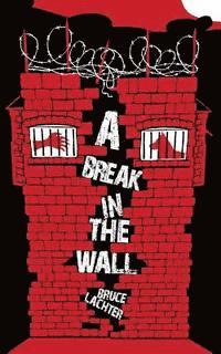 bokomslag A Break in the Wall