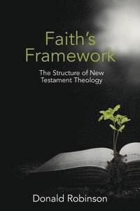 bokomslag Faith's Framework