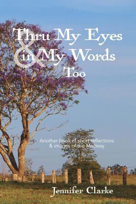 bokomslag Thru My Eyes and in My Words Too